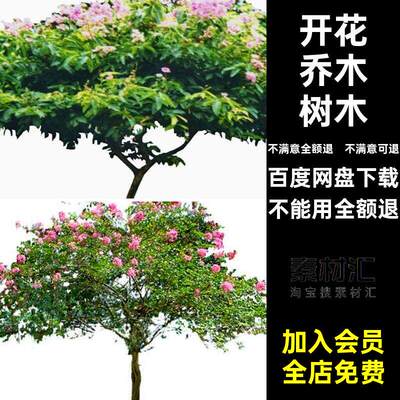 开花红梅紫玉兰园林免素材紫荆山月桂山茶丁香PSDPNG树木樱