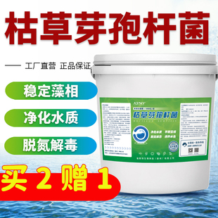 枯草芽孢杆菌渔牧原粉em菌原种降解氨氮亚盐调水肥水产养殖益生菌