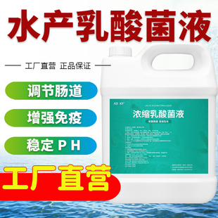 浓缩乳酸菌水产养殖净水稳水降解毒素抑制弧菌提高溶氧EM菌原液种