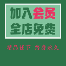 全店VIP终身永久会员excel工作生活教学精品表格模板