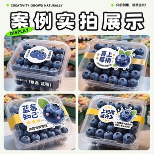 蓝莓标签贴纸定制水果店logo标签不干胶一次性防水防油透明标签
