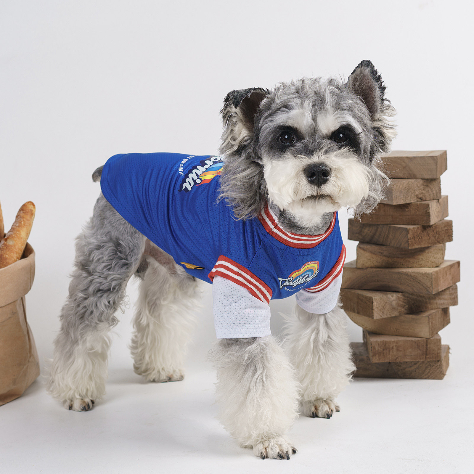 美式猫咪狗狗衣服夏季防掉毛泰迪博美雪纳瑞中小型犬宠物空调服潮,宠物/宠物食品及用品,狗宠物服装/雨衣,淘宝优惠券,粉丝福利购,淘宝优惠卷