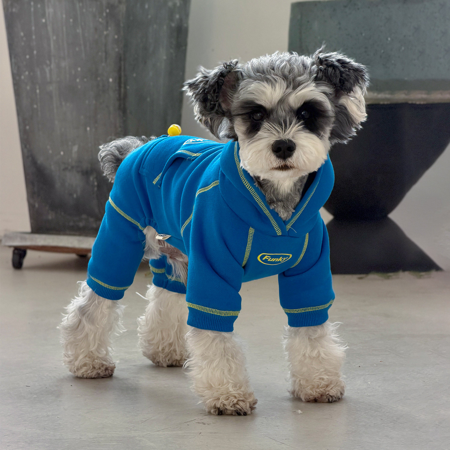 多巴胺狗狗衣服宠物连帽衫秋冬小型犬泰迪西高地雪纳瑞四脚衣服潮