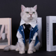 个性 防掉毛泰迪柯基法斗雪纳瑞小型犬狗衣服 宠物猫咪衣服春秋套装