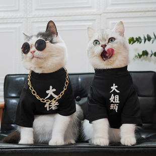 潮 可爱猫咪衣服春夏薄款 防掉毛小型犬狗狗衣服小猫背心宠物亲子装