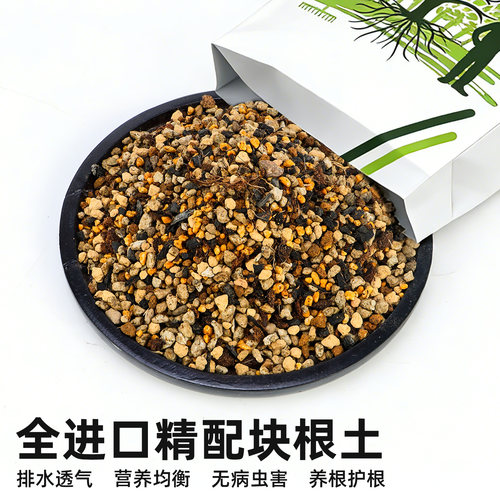 CPAI块根土龟甲龙通用营养颗粒土