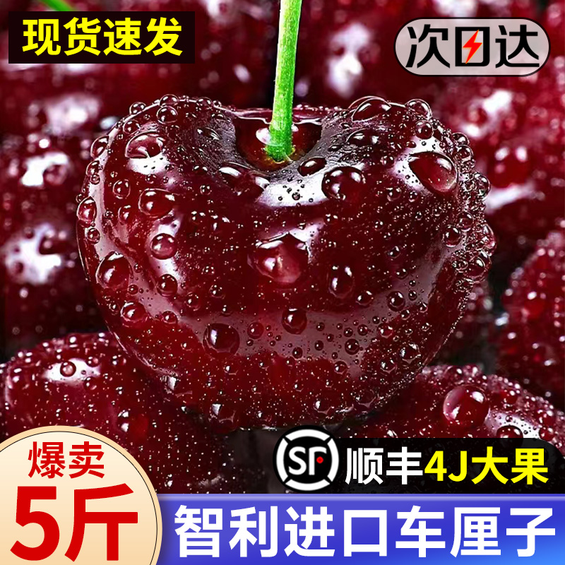 智利车厘子5斤新鲜水果当季进口樱桃整箱大樱桃礼盒现发顺丰包邮3