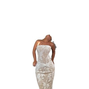 hugging Sexy hip lace dress性感蕾丝包臀连衣裙女 temperament