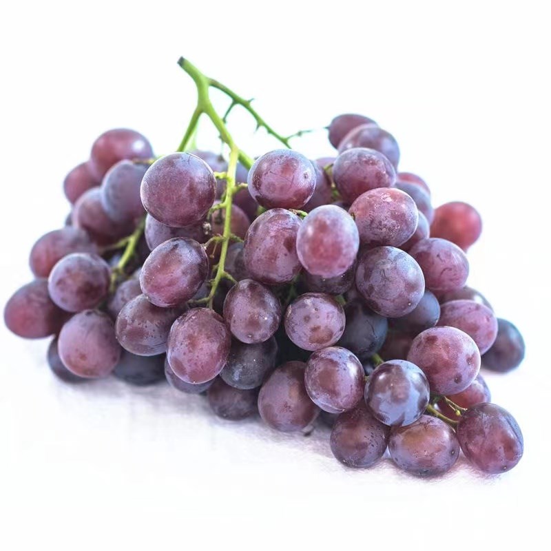 【顺丰】山东特产大泽山玫瑰香葡萄当季新鲜水果现摘非无籽红提