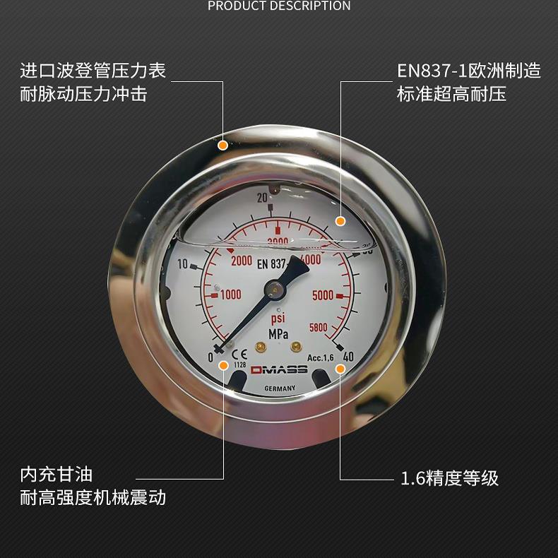 压力表DMASS德玛仕EN837-
