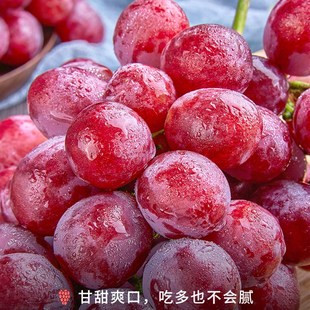 妮娜皇後葡萄红提礼盒装甜无籽应季水果红宝石时令生鲜顺丰