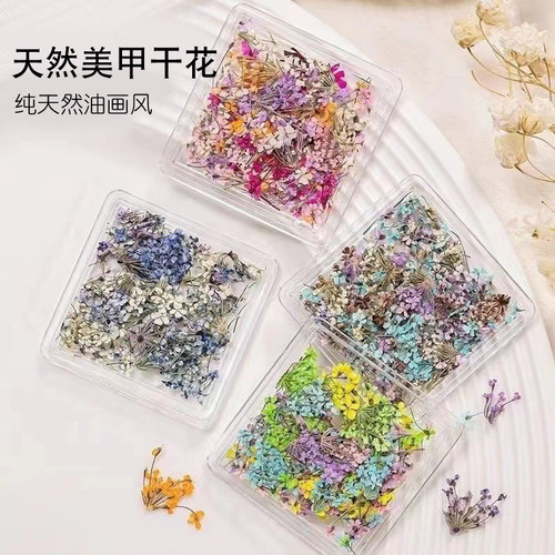 ins日系美甲干花饰品天然永生花