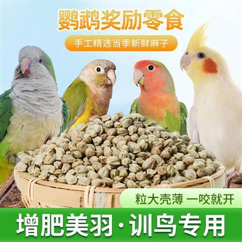 甘肃新货鸟粮纸壳麻子玄凤牡丹小太阳和尚鹦鹉奖励零食鸟食增肥q