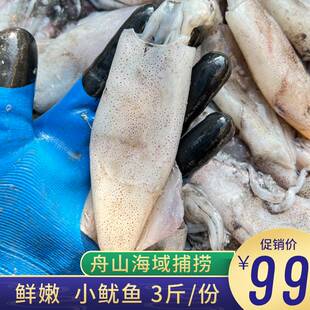 舟山小鱿鱼本地小管鱿鱼野生海捕海兔鱼冷冻铁板烧烤海鲜1斤10只