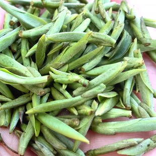 20240312001特级头采雪后首日芽50克罐装