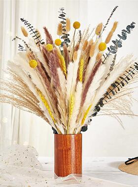 热销蒲苇草小芦苇干花兔尾草小拂尘跨境供货花束干花