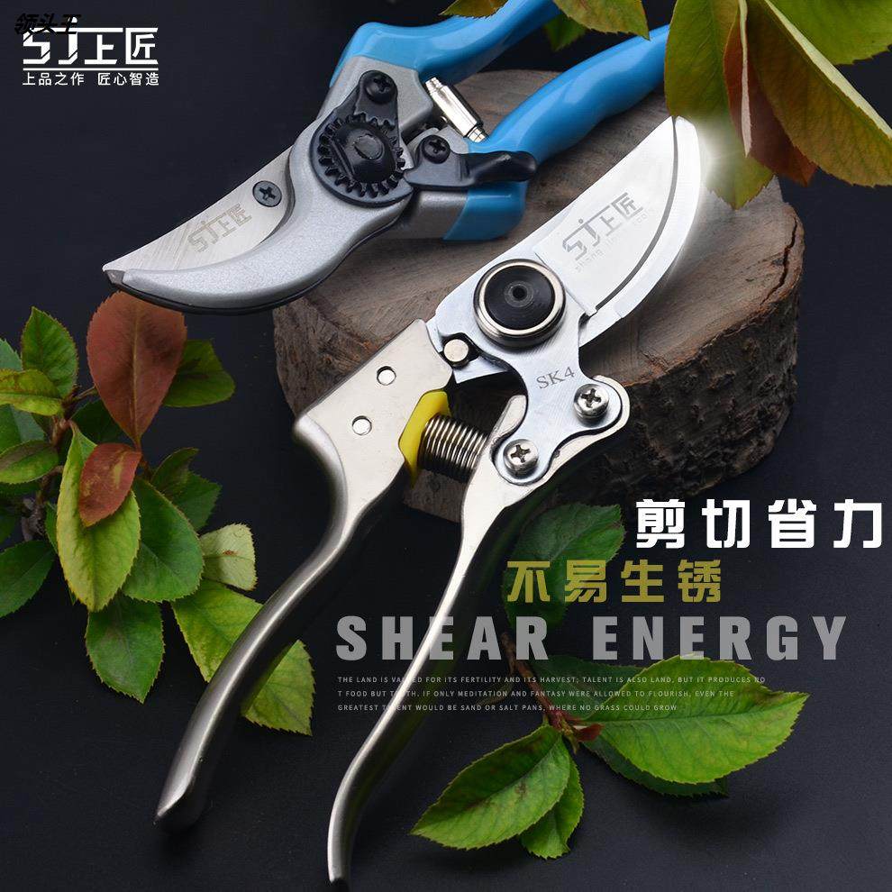 上匠不锈钢园艺剪刀锰钢园丁剪花枝修剪树枝剪刀果枝剪修花剪修枝