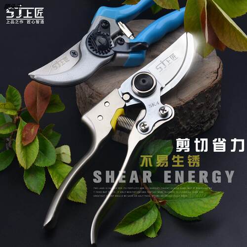 上匠不锈钢园艺剪刀锰钢园丁剪花枝修剪树枝剪刀果枝剪修花剪修枝