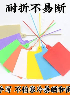 一次性塑料封条物流挂签吊牌快递物流仓库标签产品卡片防盗扣掉包