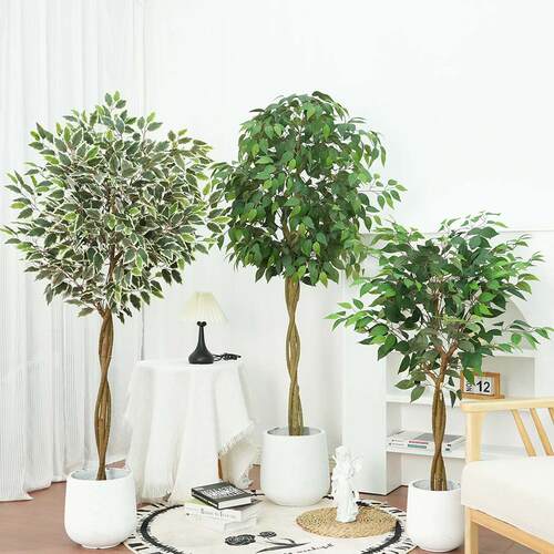 大型仿真植物榕树盆栽室