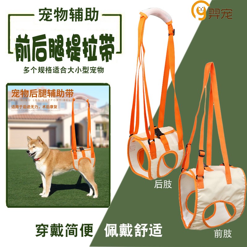 宠物行走狗狗锻炼提助行牵引绳