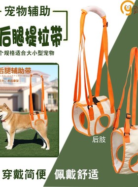 宠物辅助带狗前肢后腿手提术后老年犬行走狗狗锻炼提助行牵引绳