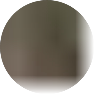 义乌仿真花仿真圣诞花和一品红花 5头一品红 7头一品红花束