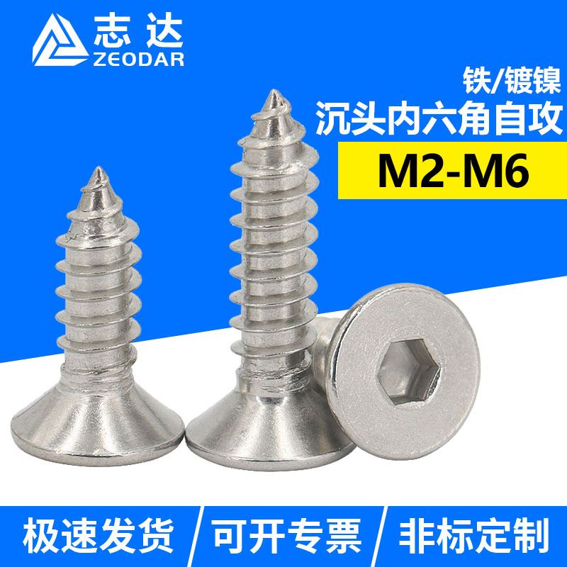铁镀镍沉头内六角自攻螺钉 平杯内六角粗牙尖头自攻螺丝M2M4M6