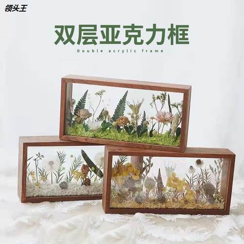 创意干花树叶标本画框厂家批发 昆虫植物标本框 DIY亚克力摆台框
