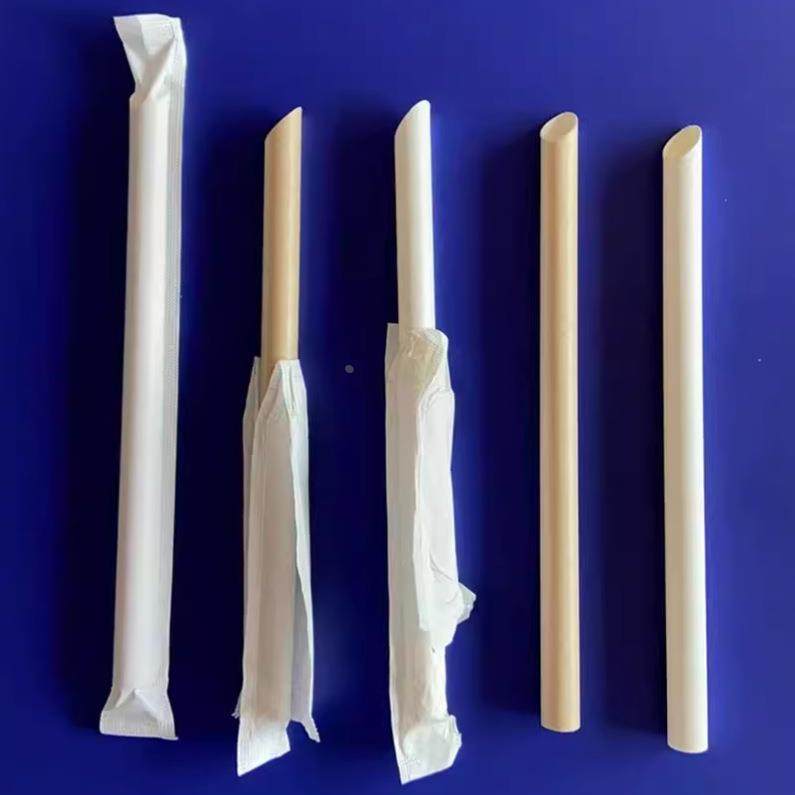 12x200mm独立包装尖头纸吸管（2000支）适合500ML杯奶茶店专用定