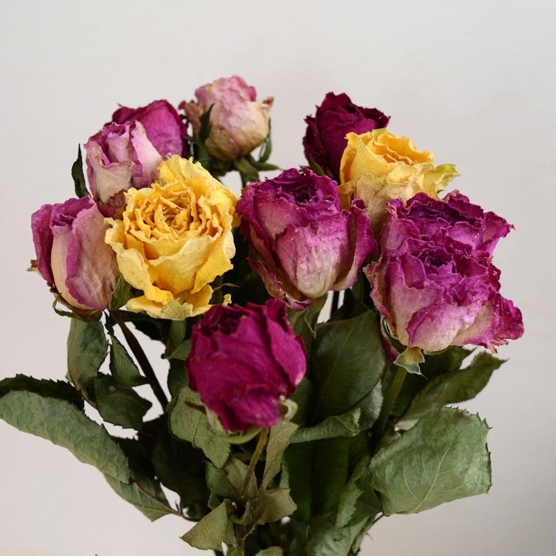 玫瑰干花 云南干花拍摄干花道具 diy手工花材 黄玫瑰干花滴胶花材