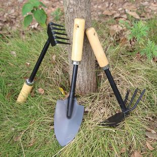 木柄三件套种植工具套装 铁铲锄头耙子养花盆栽园艺园林工具