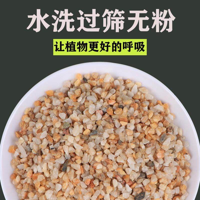 河沙水晶石英砂多肉兰花