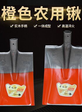 橙色钢锹农用方锹加硬木柄槐木园艺铲子挖菜种地工具带柄家用除冰