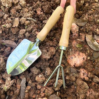 园艺工具套装铲耙子不锈钢铁铲小锹翻土养花盆栽花卉种植赶海神器