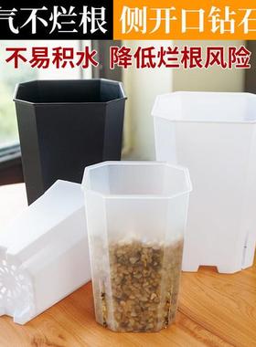 钻石八角方盆透明黑白花盆观察植物生长全新料多肉玉露十二卷花盆