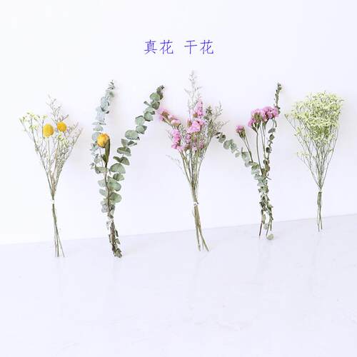 勿忘我干花插伴手礼拍照