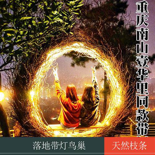 巴厘岛网红鸟巢秋千景区打卡婚纱拍摄道具创意圆形床户外吊篮名宿