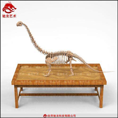 商场儿童乐园考古卓恐龙骨架大型骨架化石模型摆件恐龙骨架