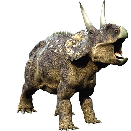 恐龙生产厂家直销大型仿真电机会动恐龙动物模型景区公园摆件