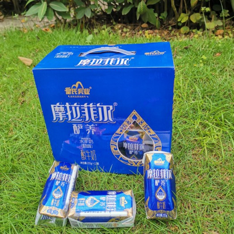 摩拉菲尔酽养酸奶包邮205g*12盒广西皇氏乳业风味酸奶送礼日期新