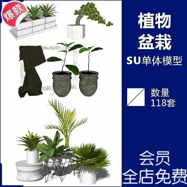 J297现代北欧小清新植物盆栽花卉绿植装饰小品摆件草图大师SU模型