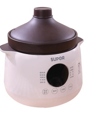 SUPOR/苏泊尔 DG40YC851