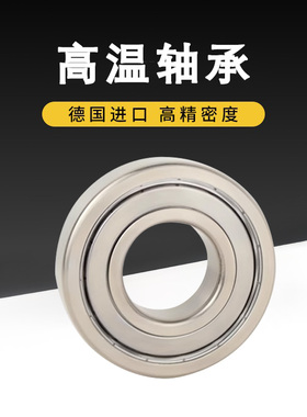 德国KBTBK耐高温深沟球轴承FT6300 FT6301 FT6302 6303 6304 6305