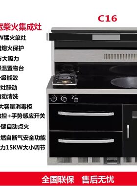 亚格柴火集成灶C16消毒柜1米2柴气两用集成灶一键点火集成柴火灶