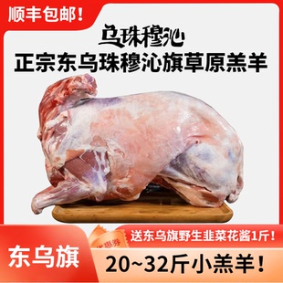 内蒙古东乌旗全羔羊肉草原新鲜整只烧烤现杀羊腿羊排锡林郭勒