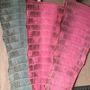 喜马拉雅色尼罗鳄鱼皮料 DIY竹节纹表带钱包手机壳尾巴竹节表带