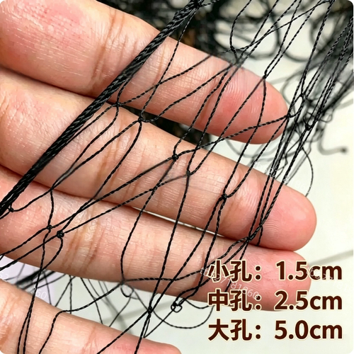 防鸟网果树果园大棚尼龙线防乌网阳台樱桃树葡萄窗户鱼塘用的天网