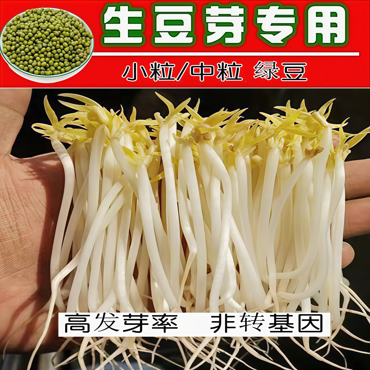 发豆芽专用绿豆生豆芽长绿豆芽小粒中粒非转基因水培发芽豆可食用,粮油调味/速食/干货/烘焙,绿豆,淘宝优惠券,粉丝福利购,淘宝优惠卷