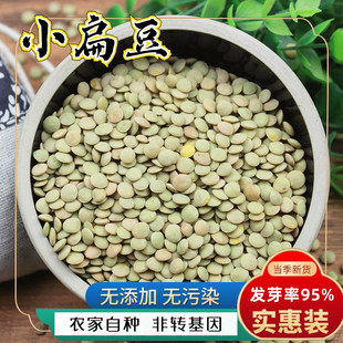 小扁豆500g金豌豆小兵豆五谷杂粮甘肃绿扁豆发豆芽兵豆